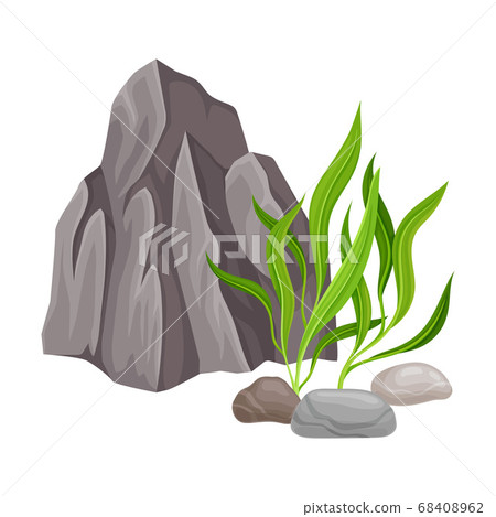 Angulated Sea Stone or Subsurface Rock with Seaweeds and Algae Vector Composition 68408962