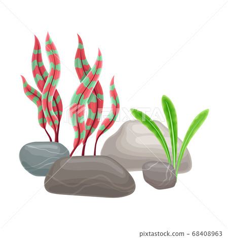 Smooth Pebble or Sea Stones with Seaweeds and Algae Vector Illustration 68408963