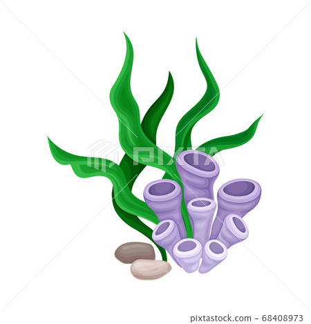 Smooth Pebble or Sea Stones with Seaweeds and Algae Vector Illustration Smooth Pebble or Sea Stones with Seaweeds and Algae Vector Illustration 68408973