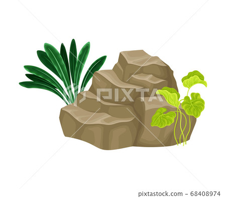 Angulated Sea Stone or Subsurface Rock with Seaweeds and Algae Vector Composition Angulated Sea Stone or Subsurface Rock with Seaweeds and Algae Vector Composition 68408974