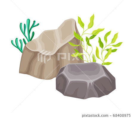 Angulated Sea Stone or Subsurface Rock with Seaweeds and Algae Vector Composition 68408975