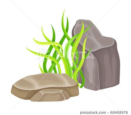 Angulated Sea Stone or Subsurface Rock with Seaweeds and Algae Vector Composition 68408976