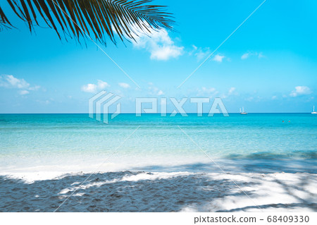 Clear water on the island,Bright blue sea and 68409330