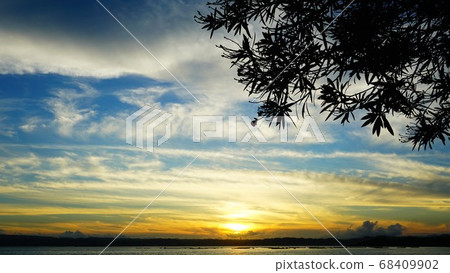 Otake bamboo and sunset 68409902