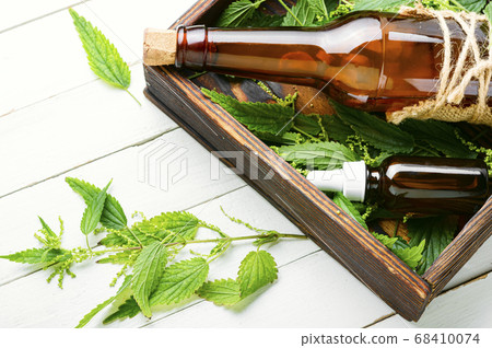 Healing tincture of nettle. Healing tincture of nettle. 68410074
