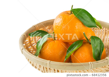 Kishu成熟的Ponkan Kishu成熟的Ponkan 68412356