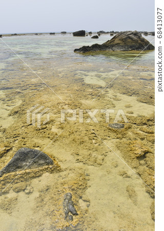 [鹿兒島縣Am美大島] Ayamaru斗篷的珊瑚礁 68413077