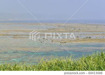 [Kagoshima Prefecture Amami Oshima] Coral reef of Ayamaru cape 68413086