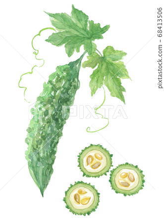 Bitter gourd slice and fruit 68413506