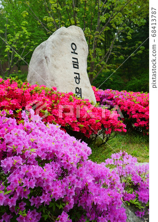 春天在歐金公園 68413787