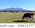 Grazing cows and Mt. Fuji 68414177