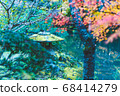 Autumn leaves 68414279
