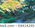 Autumn leaves 68414280