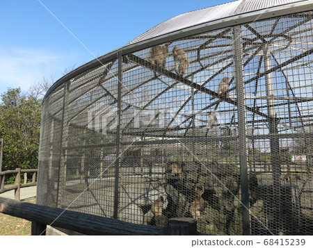 Monkey house in Oreyama Park, Zushi City Monkey house in Oreyama Park, Zushi City 68415239