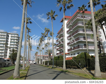 擁有美麗棕櫚樹的祖希碼頭（里維埃拉廣場附近） 68416283