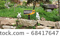 Rabbit and turtle 68417647