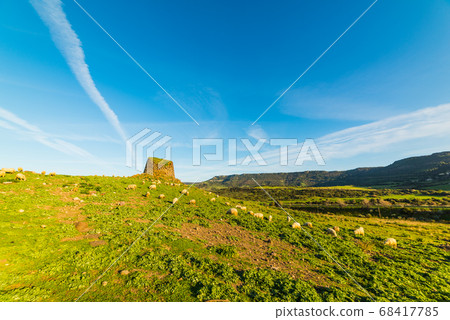 Sheep by Nuraghe Paddaggiu Leni 68417785