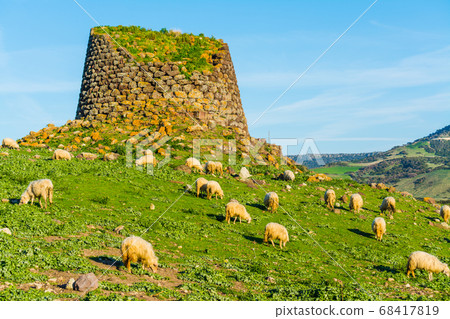 Herd of sheep by a Nuraghe 68417819