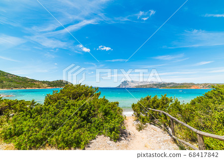 turquoise water in Capo Coda Cavallo turquoise water in Capo Coda Cavallo 68417842