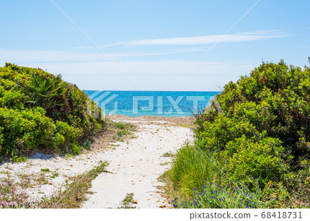 Vegetation and blue sea in Alghero Vegetation and blue sea in Alghero 68418731