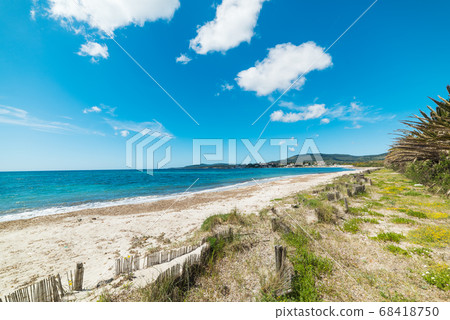 sandy shore in Alghero 68418750
