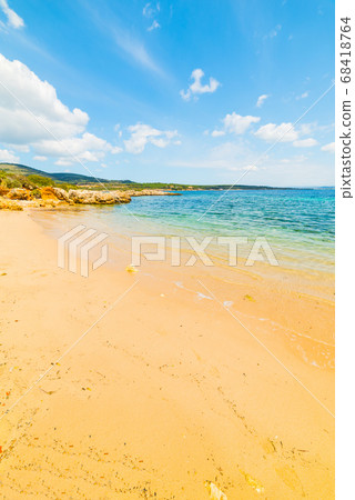 golden shore in Alghero 68418764