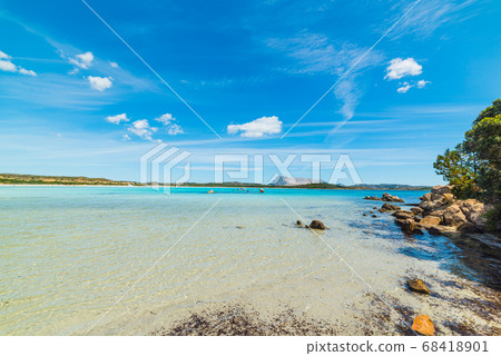 Rocks in Cala Brandinchi 68418901