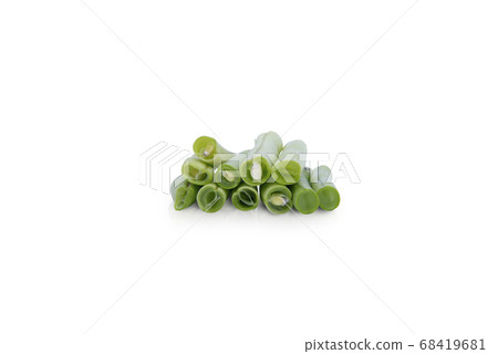 Sliced of snap bean 68419681