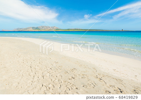 white sand in La Pelosa beach 68419829