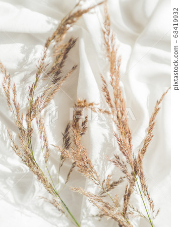 Top view on dried grass. Flat lay still life concept. Decorative plants on crumpled white fabric. Cozy home. Hand made natural decorations. Sunlight and shadow. 68419932