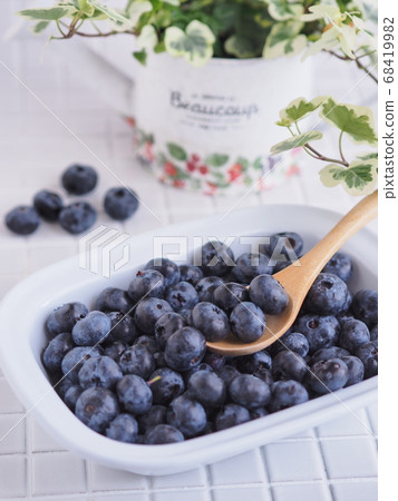 新鮮採摘的藍莓原料 68419982