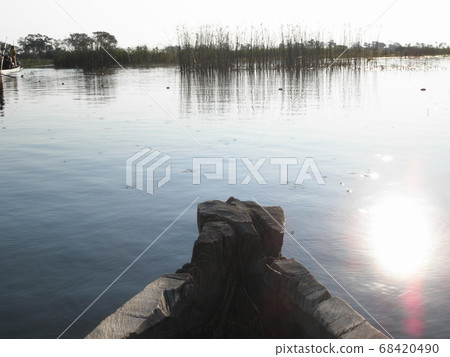 Okavango Wetlands seen while riding Mokoro 68420490