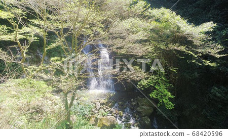 Kirai Falls in Ehime Prefecture 68420596