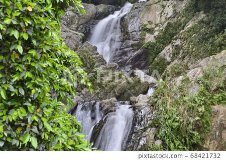 [Kagoshima Prefecture Amami Oshima] Arangachi Falls 68421732