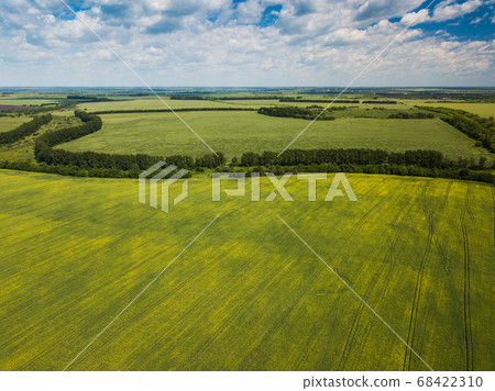 Aerial view of huge blooming yellow rapeseed fields in sunny summer day. Natural abstract pattern. Russia Aerial view of huge blooming yellow rapeseed fields in sunny summer day. Natural abstract pattern. Russia 68422310