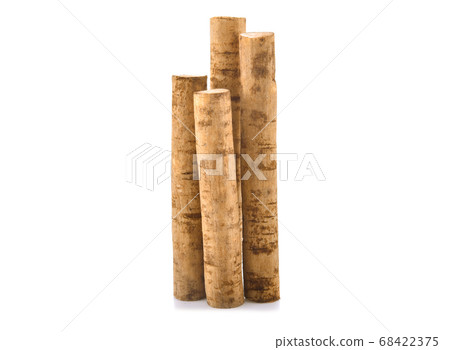 Fresh Burdock roots on white background 68422375