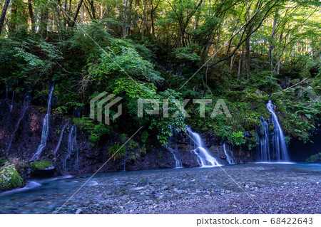(靜岡縣)夏季金馬瀑布 (靜岡縣)夏季金馬瀑布 68422643