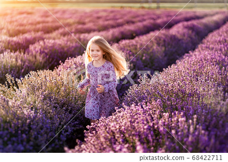 A field of lavender. A little girl run. Sunset. A field of lavender. A little girl run. Sunset. 68422711