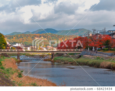 秋天的落葉和櫻花的秋景 68423434