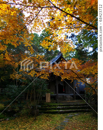 Bamboo temple in autumn, Kyokuzo Bodhisattva and autumn leaves Kochi City, Kochi Prefecture 88 Shikoku Sacred Site No. 30 Ichibanfuda Bamboo temple in autumn, Kyokuzo Bodhisattva and autumn leaves Kochi City, Kochi Prefecture 88 Shikoku Sacred Site No. 30 Ichibanfuda 68423712