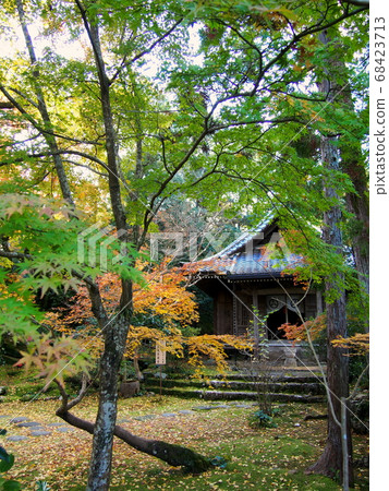 Bamboo temple in autumn, Kyokuzo Bodhisattva and autumn leaves Kochi City, Kochi Prefecture 88 Shikoku Sacred Site No. 30 Ichibanfuda Bamboo temple in autumn, Kyokuzo Bodhisattva and autumn leaves Kochi City, Kochi Prefecture 88 Shikoku Sacred Site No. 30 Ichibanfuda 68423713