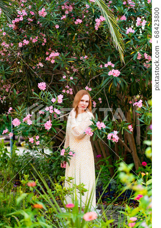 a woman in a white dress among blooming rose trees a woman in a white dress among blooming rose trees 68423800