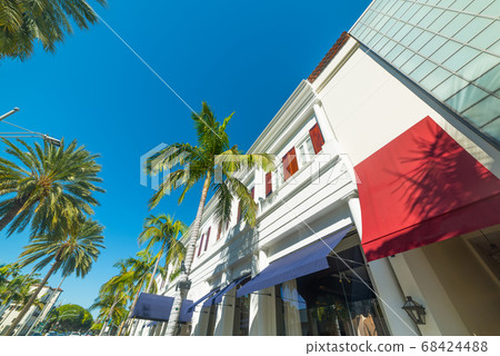 Palm trees in Rodeo Drive Palm trees in Rodeo Drive 68424488