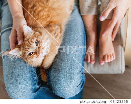 Top view on cute ginger cat lying on knees. Woman in jeans sits on chair with toddler and with fluffy pet on knees. Cozy home for domestic animal. 68425226