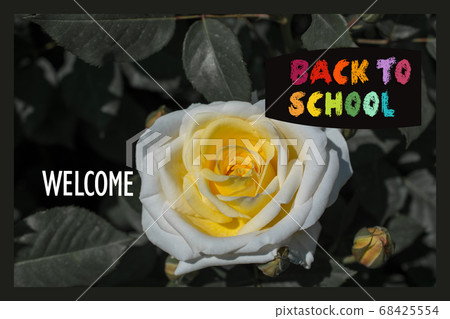 Back to School banner. Education and school Back to School banner. Education and school 68425554