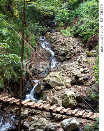 秋川峽谷瀑布和清澈的溪流丸太橋，通向霞水瀑布的山間小道 68426199
