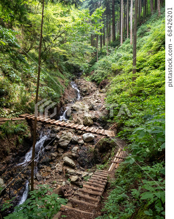 秋川峽谷瀑布和清澈的溪流丸太橋，通向霞水瀑布的山間小道 68426201