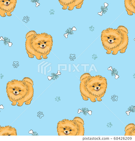 Seamless pattern with cute pomeranian puppy on blue. Vector dogs background Seamless pattern with cute pomeranian puppy on blue. Vector dogs background 68426209