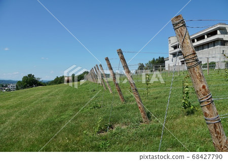 Ikeda Wine Castle・2020 68427790