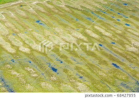 Green nature background Green nature background 68427855